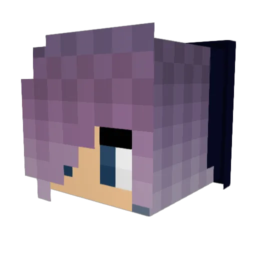 BornPinkLover Minecraft avatar head, 3D render