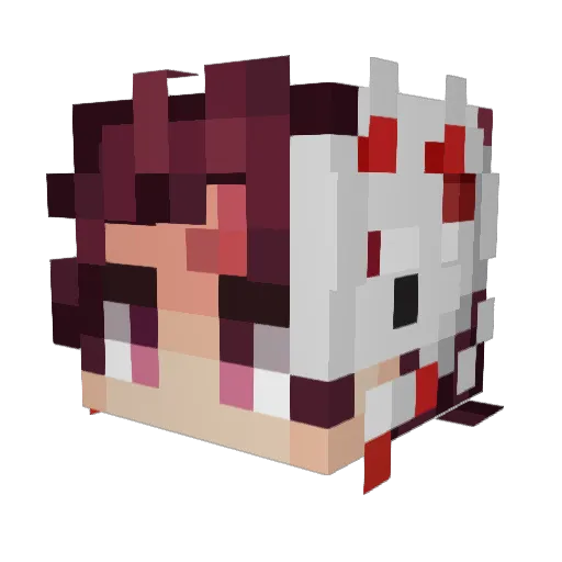 Bornado_ Minecraft avatar head, 3D render