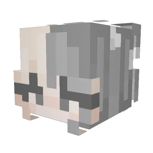 Boro404 Minecraft avatar head, 3D render