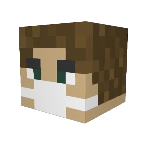 Borodon Minecraft avatar head, 3D render