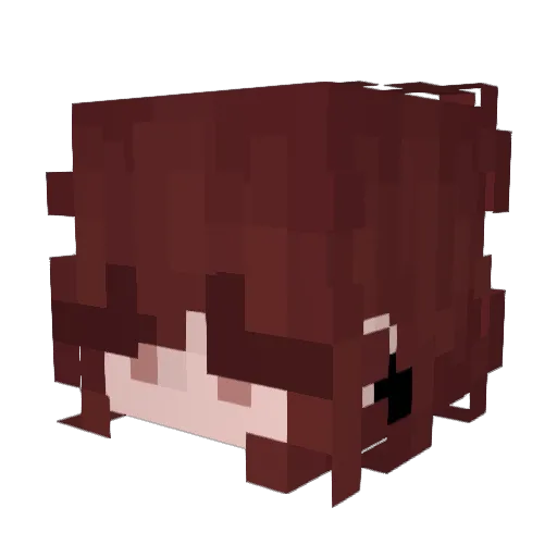 Borovasi Minecraft avatar head, 3D render