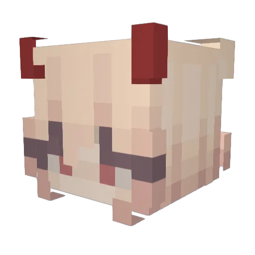 BorowQa Minecraft avatar head, 3D render