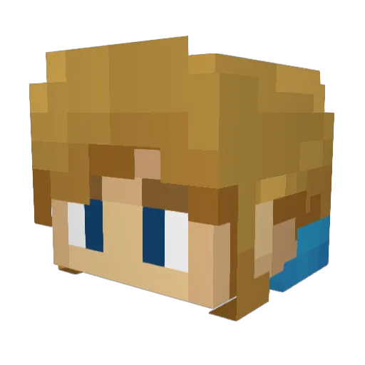 Borowik147 Minecraft avatar head, 3D render