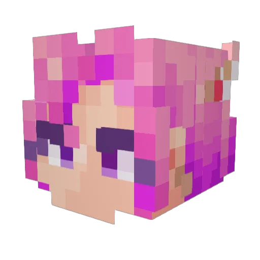 Borozoi Minecraft avatar head, 3D render