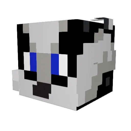 Borsuk17 Minecraft avatar head, 3D render