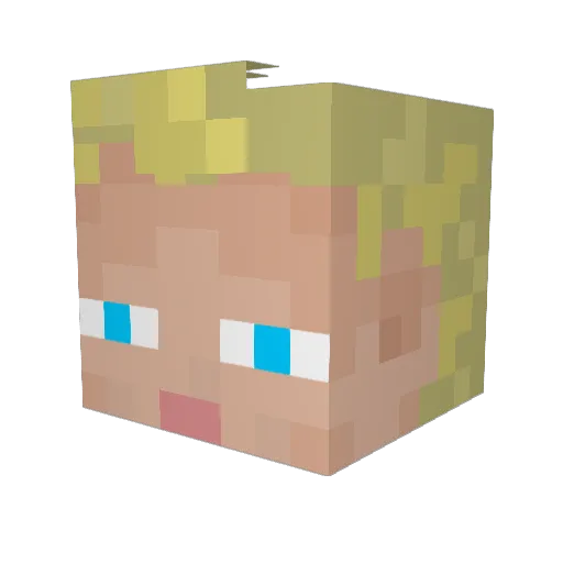 Bortopian Minecraft avatar head, 3D render