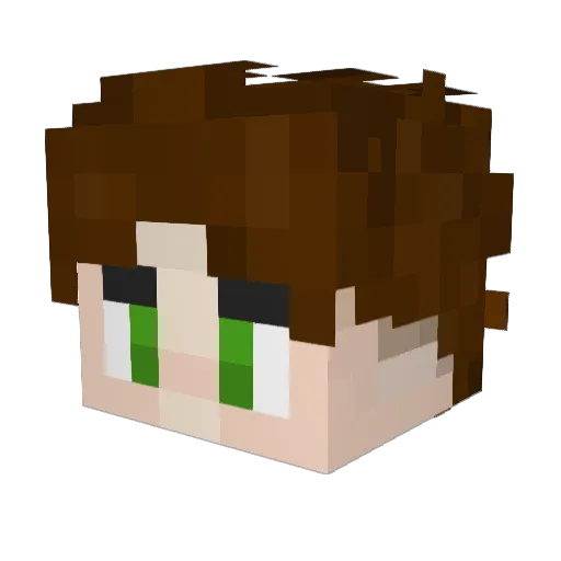 Borusa1 Minecraft avatar head, 3D render