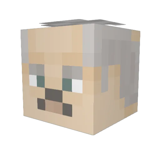 Borych77 Minecraft avatar head, 3D render