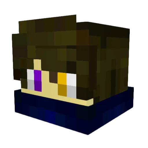 Bosbesp Minecraft avatar head, 3D render