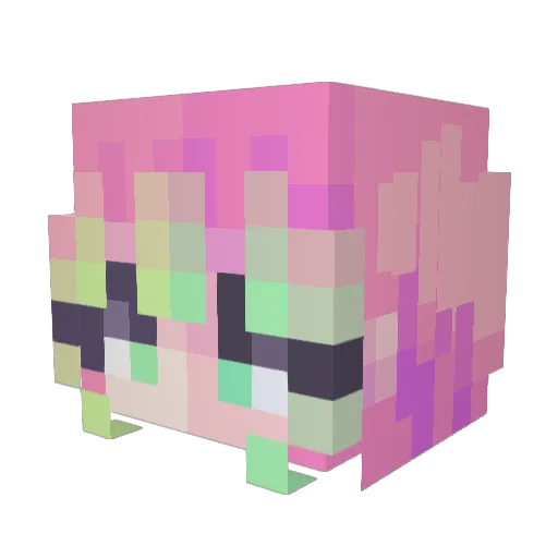Bosco0527 Minecraft avatar head, 3D render