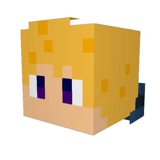 Bosebaer Minecraft avatar head, 3D render
