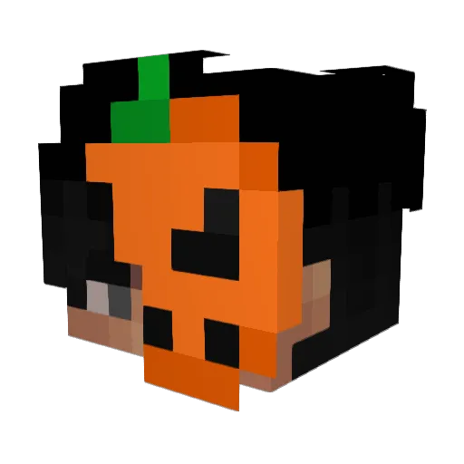 Boskiwiater Minecraft avatar head, 3D render