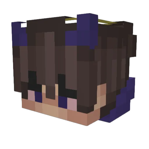 Bosnak41 Minecraft avatar head, 3D render