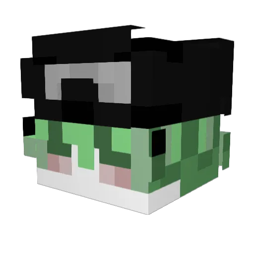 Bosommoon Minecraft avatar head, 3D render