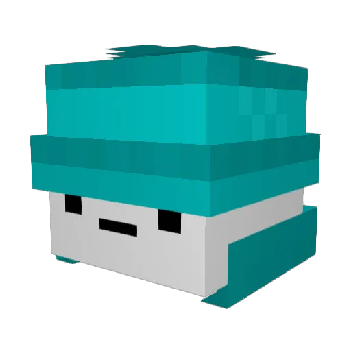 Bosry Minecraft avatar head, 3D render