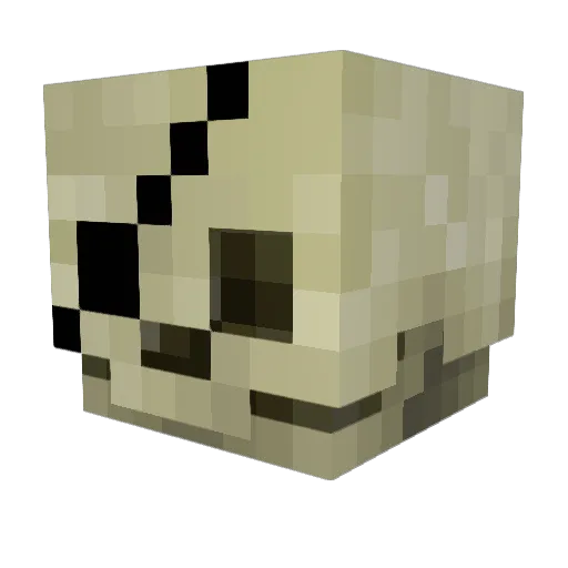 Boss0fThisGym Minecraft avatar head, 3D render