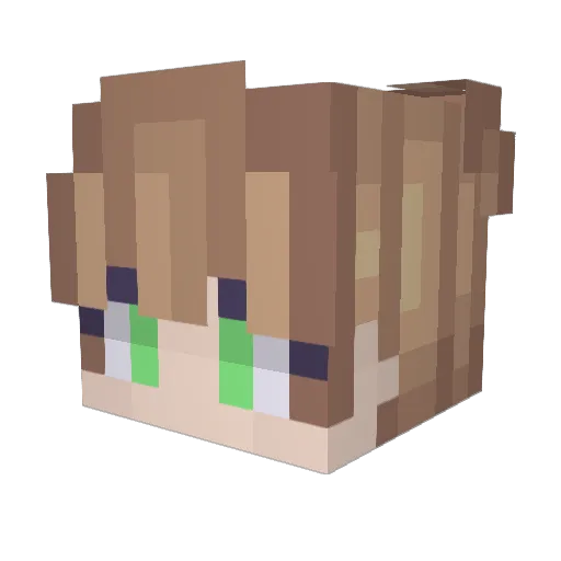 BossManFinn Minecraft avatar head, 3D render