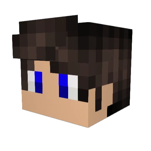 BossPanda_Tr Minecraft avatar head, 3D render