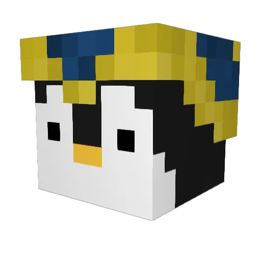 BossPenguin20 Minecraft avatar head, 3D render