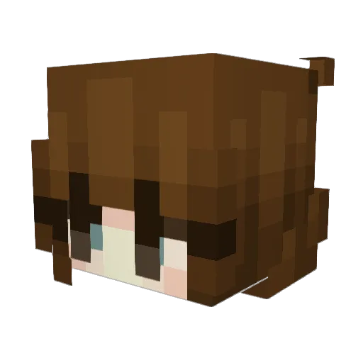 Boss_SSA123 Minecraft avatar head, 3D render