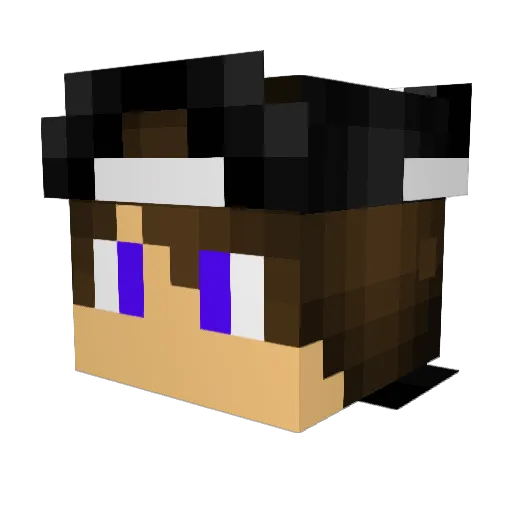 Bossarino23 Minecraft avatar head, 3D render