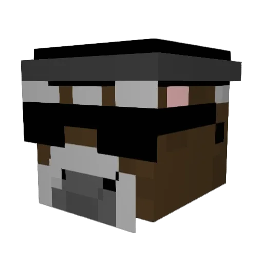 Bosses00 Minecraft avatar head, 3D render