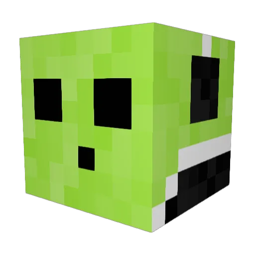 Bossfrog13266 Minecraft avatar head, 3D render