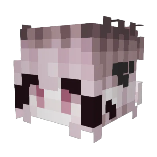 Bossiebae Minecraft avatar head, 3D render
