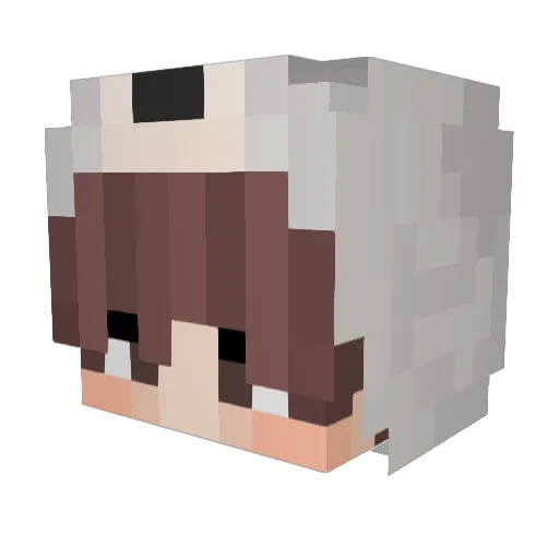 Bossmr Minecraft avatar head, 3D render