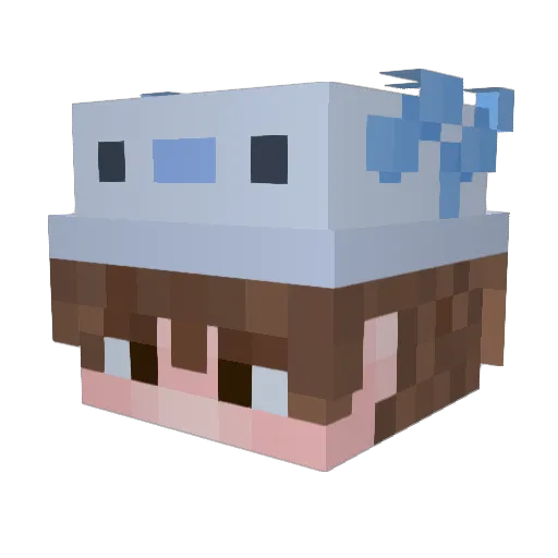 Bostee Minecraft avatar head, 3D render