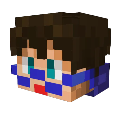 Bostorom Minecraft avatar head, 3D render