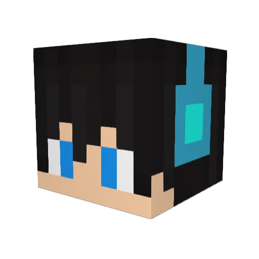 Bostwik Minecraft avatar head, 3D render