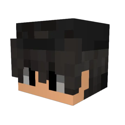 Bot1223 Minecraft avatar head, 3D render