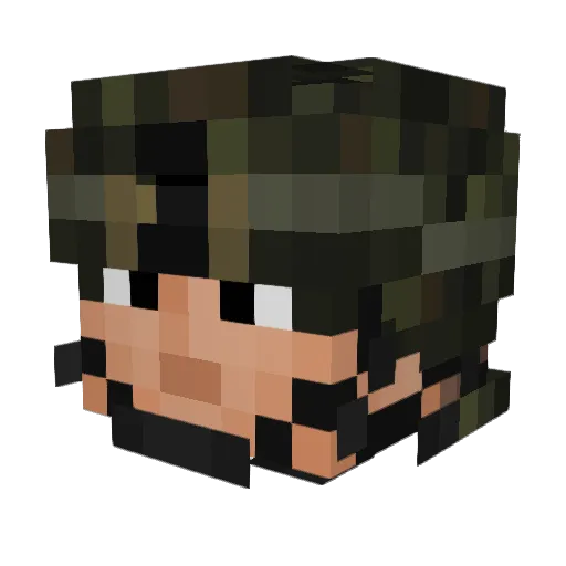 Bot2264 Minecraft avatar head, 3D render