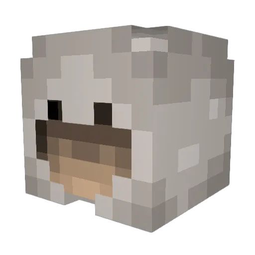 Bot421 Minecraft avatar head, 3D render