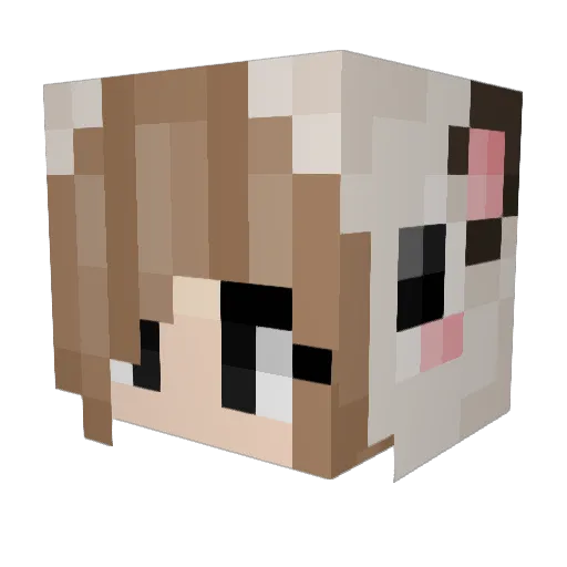 BotChan86 Minecraft avatar head, 3D render