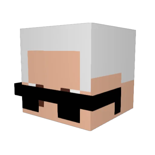 BotNelson Minecraft avatar head, 3D render