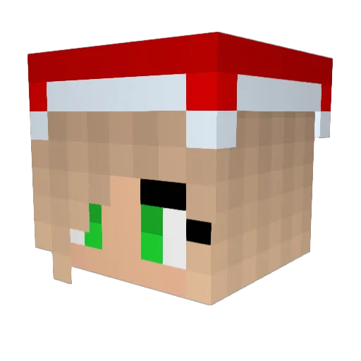 BotNinja2020 Minecraft avatar head, 3D render