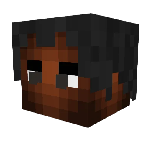 Bot_N4v1 Minecraft avatar head, 3D render