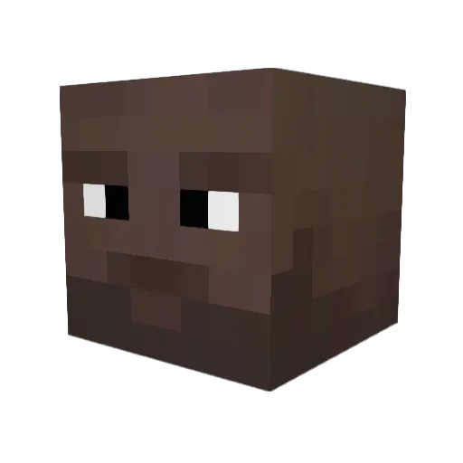Bot_NyanCat Minecraft avatar head, 3D render