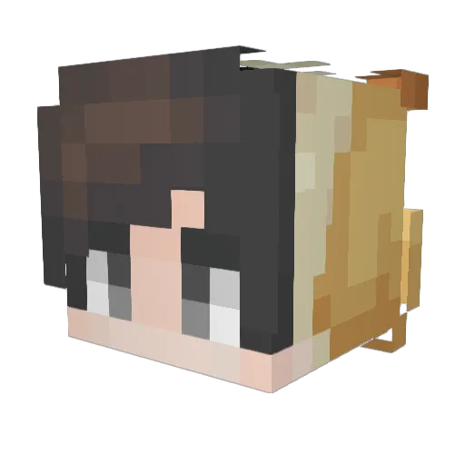 Botachin Minecraft avatar head, 3D render