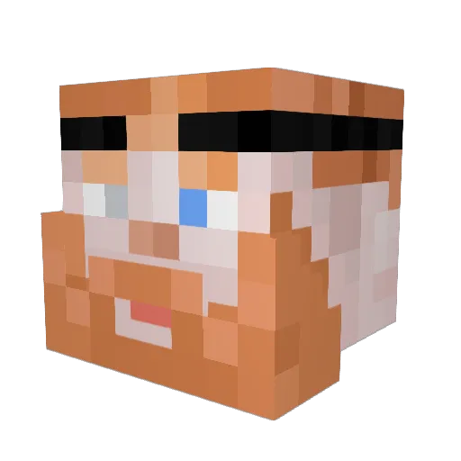 Botar_ Minecraft avatar head, 3D render