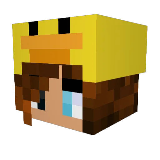 Boterbloem2008 Minecraft avatar head, 3D render