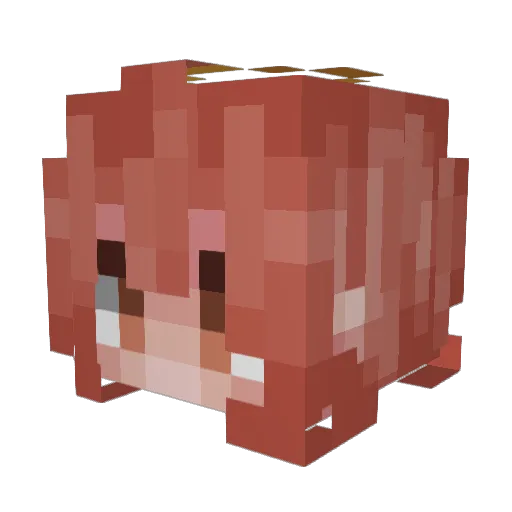 Boterkatt Minecraft avatar head, 3D render