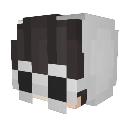 BotlaneShadow Minecraft avatar head, 3D render