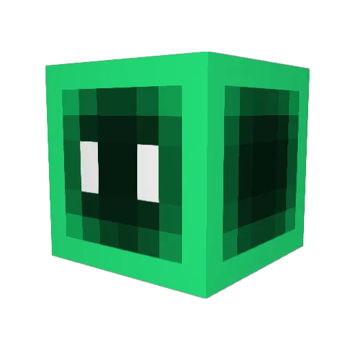 Botnen Minecraft avatar head, 3D render