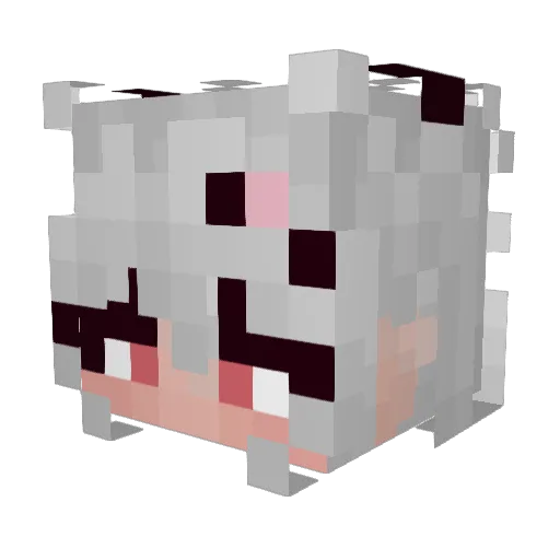 Botruqui Minecraft avatar head, 3D render