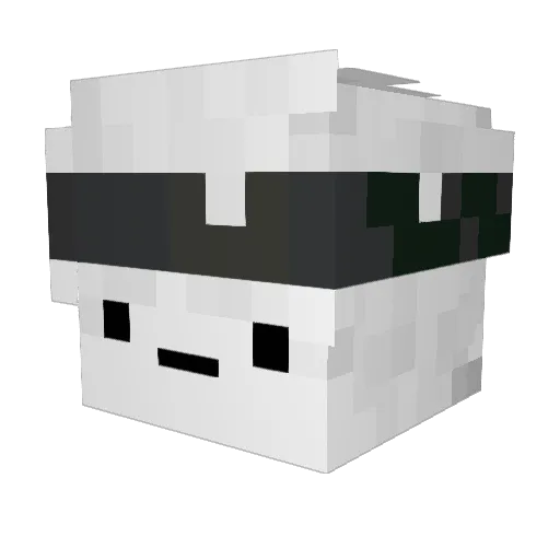 BotsDown Minecraft avatar head, 3D render