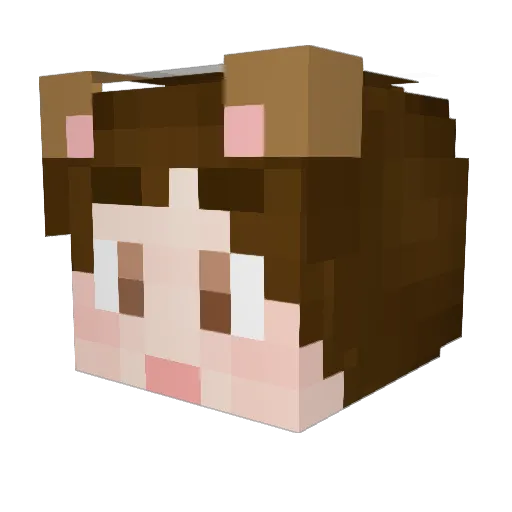 BottleFe Minecraft avatar head, 3D render