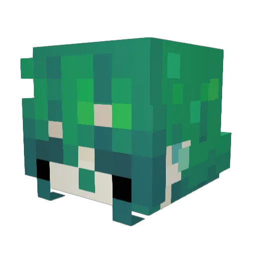 BottledXp Minecraft avatar head, 3D render